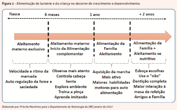 02-Alimentação-complementar-e-BLW-anexo